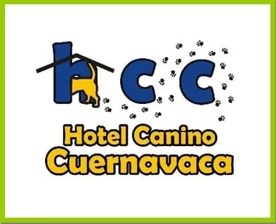 HOTEL CANINO CUERNAVACA